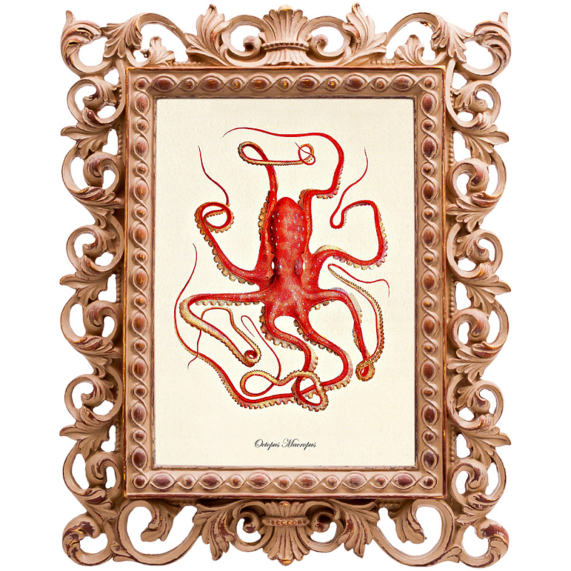 Постер Red Squid Poster Бежевый Красный Постер Red Squid Poster Бежевый Красный в Липецке | Loft Concept