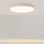 Потолочный светильник Incognito 2700-4000К 46Вт варинант исполнения - 2 | Loft Concept в Липецке