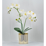Декоративный искусственное растение Lush Orchid варинант исполнения - 2 | Loft Concept в Липецке
