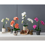 Декоративный искусственное растение Pink orchid варинант исполнения - 11 | Loft Concept в Липецке