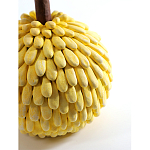 Статуэтка тропический фрукт Pandora Tropical Fruit Yellow Emerald Flower варинант исполнения - 2 | Loft Concept в Липецке