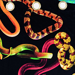 Штора Seletti Snakes Black варинант исполнения - 1 | Loft Concept в Липецке