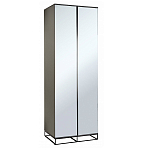 Двухдверный шкаф с зеркальными дверцами Strict Lines варинант исполнения - 1 | Loft Concept в Липецке