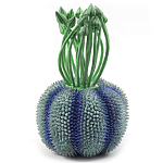 Статуэтка экзотический фрукт Exotic Tropical Fruit Green and Blue 64 варинант исполнения - 1 | Loft Concept в Липецке