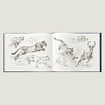 Лимитированная подарочная книга HERMES Fierce and Fragile book, English version варинант исполнения - 4 | Loft Concept в Липецке