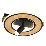 Потолочный светильник круглый GAVIN WOOD варинант исполнения - 1 | Loft Concept в Липецке