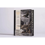 Книга Fantastic Gustave Dore варинант исполнения - 3 | Loft Concept в Липецке