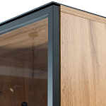 Шкаф Condition варинант исполнения - 3 | Loft Concept в Липецке