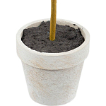 Декоративный искусственное растение Boxwood One варинант исполнения - 3 | Loft Concept в Липецке