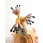 Статуэтка тропический фрукт Pandora Tropical Fruit Orange варинант исполнения - 3 | Loft Concept в Липецке