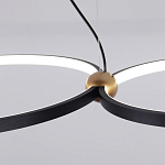 Люстра подвесная светодиодная черный металл Ring Horizontal варинант исполнения - 11 | Loft Concept в Липецке