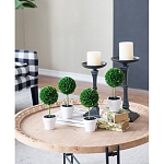 Декоративный искусственное растение Boxwood One варинант исполнения - 7 | Loft Concept в Липецке