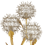 Торшер в виде цветка одуванчика Hanging Dandelion варинант исполнения - 1 | Loft Concept в Липецке