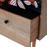 Шкаф с принтом Kario варинант исполнения - 3 | Loft Concept в Липецке