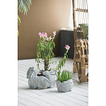 Кашпо A collection of baby rabbits варинант исполнения - 4 | Loft Concept в Липецке