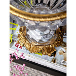 Чаша из прозрачного стекла с бронзовой подставкой и ручками Eden Garden варинант исполнения - 4 | Loft Concept в Липецке