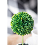 Декоративный искусственное растение Boxwood One варинант исполнения - 8 | Loft Concept в Липецке