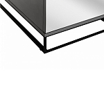 Двухдверный шкаф с зеркальными дверцами Strict Lines варинант исполнения - 4 | Loft Concept в Липецке