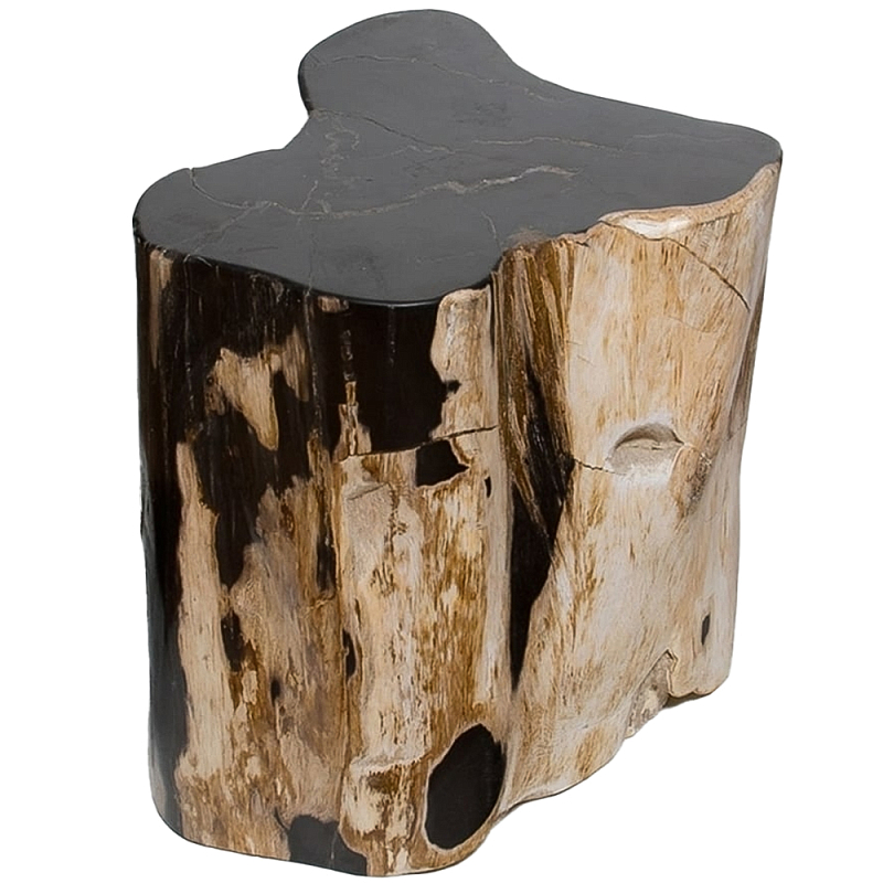 Стул из окаменелого дерева Petrified Wood Black Коричневый Бежевый Стул из окаменелого дерева Petrified Wood Black Коричневый Бежевый в Липецке | Loft Concept
