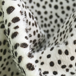 Мебельная ткань Искусственный мех  белый леопард 90 см T5-3 варинант исполнения - 1 | Loft Concept в Липецке