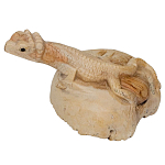 Статуэтка из дерева ящерица Animals of the World варинант исполнения - 2 | Loft Concept в Липецке