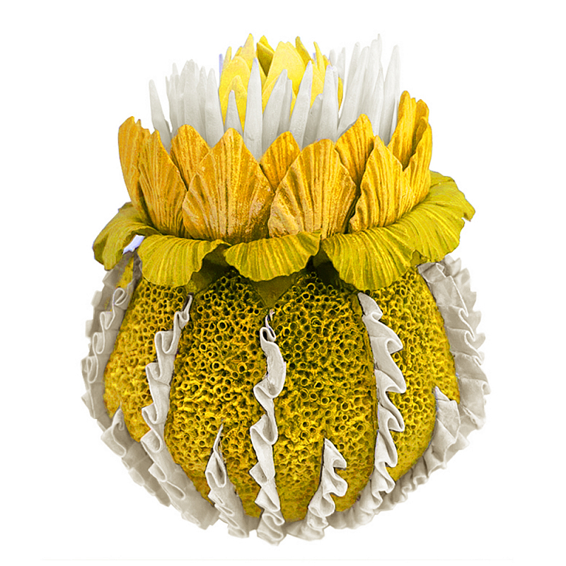 Желтый Экзотический фрукт Yellow Pandora Exotic Fruit 44 Желтый Желтый Экзотический фрукт Yellow Pandora Exotic Fruit 44 Желтый в Липецке | Loft Concept