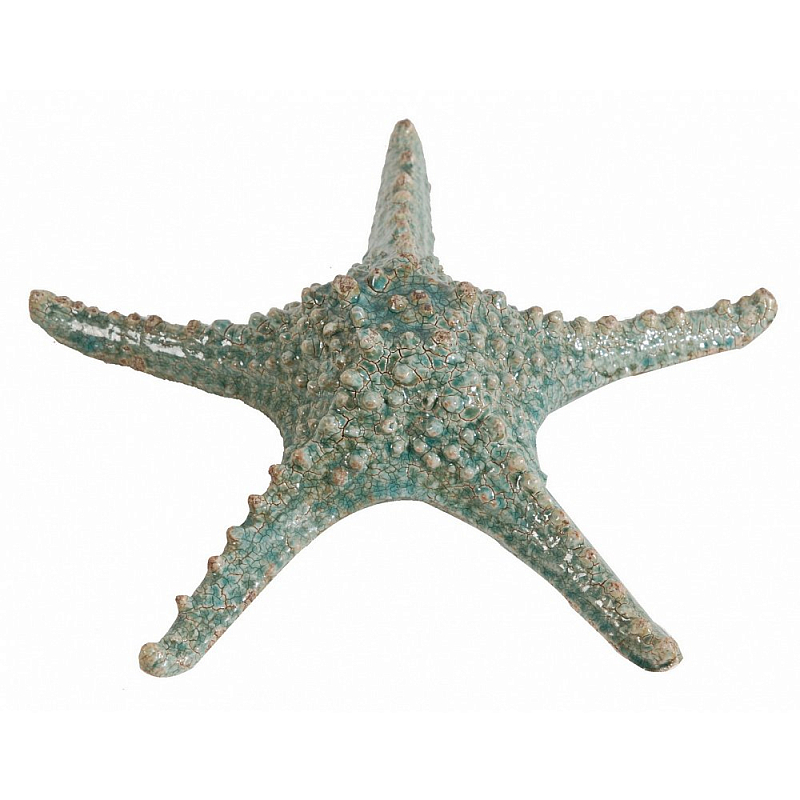 Аксессуар Starfish Бирюзовый Серый Аксессуар Starfish Бирюзовый Серый в Липецке | Loft Concept