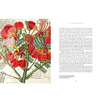 Прекрасно иллюстрированная книга более 100 ботанических произведений Plant Hunters Atlas варинант исполнения - 5 | Loft Concept в Липецке