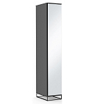 Шкаф-пенал с зеркальной дверцей и фасадом цвета графит Strict Lines варинант исполнения - 2 | Loft Concept в Липецке