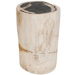 Стул из окаменелого дерева Petrified Wood варинант исполнения - 1 | Loft Concept в Липецке