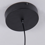 Люстра подвесная светодиодная черный металл Ring Horizontal варинант исполнения - 6 | Loft Concept в Липецке