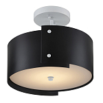 Потолочный светильник круглый светодиодный Semicircular White Panels чёрный варинант исполнения - 2 | Loft Concept в Липецке