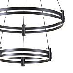 Люстра светодиодная с 2-мя плафонами в форме колец из акрила и алюминия с пультом для регулировки света Ring Horizontal Black варинант исполнения - 1 | Loft Concept в Липецке