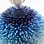 Статуэтка Синий тропический фрукт Tropical Fruit Pandora 4 варинант исполнения - 1 | Loft Concept в Липецке