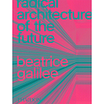 Radical Architecture of the Future варинант исполнения - 1 | Loft Concept в Липецке