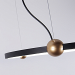Люстра подвесная светодиодная черный металл Ring Horizontal варинант исполнения - 3 | Loft Concept в Липецке