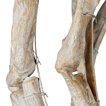 Люстра круглая в виде веток деревьев Natural Driftwood варинант исполнения - 3 | Loft Concept в Липецке