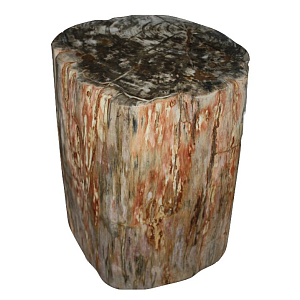 Стул из окаменелого дерева SWS003