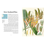 Прекрасно иллюстрированная книга более 100 ботанических произведений Plant Hunters Atlas варинант исполнения - 3 | Loft Concept в Липецке