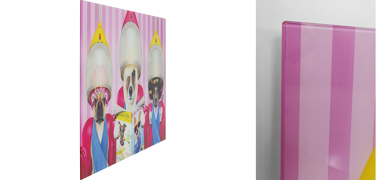 Картина Dogs in a beauty salon  - Loft-Concept в Липецке