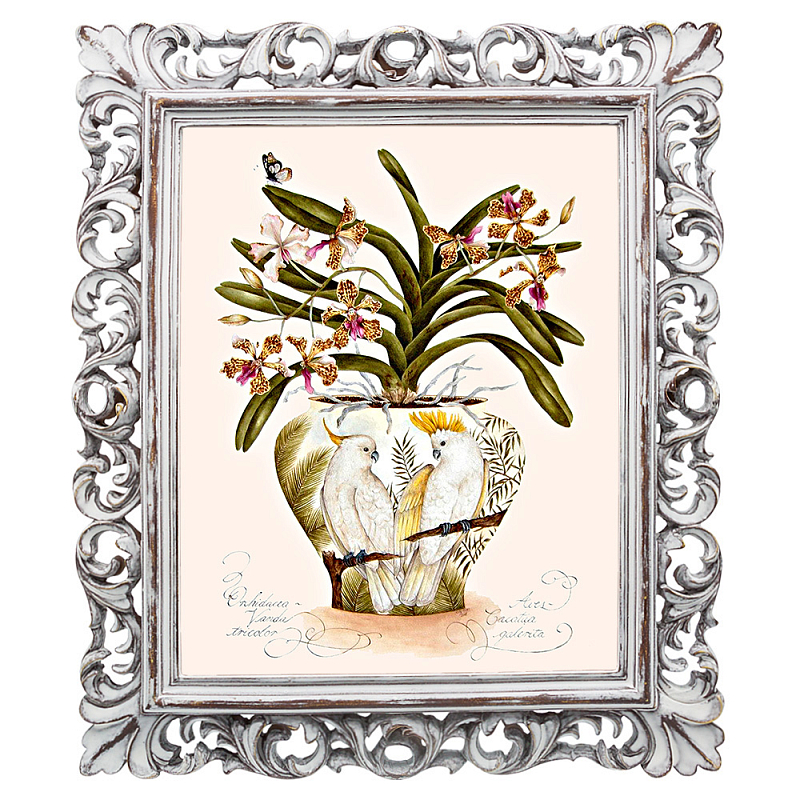 Постер White Parrots and Orchid Poster Мульти Белый винтажная патина Постер White Parrots and Orchid Poster Мульти Белый винтажная патина в Липецке | Loft Concept