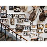 Книга Extraordinary Collections: French Interiors варинант исполнения - 11 | Loft Concept в Липецке