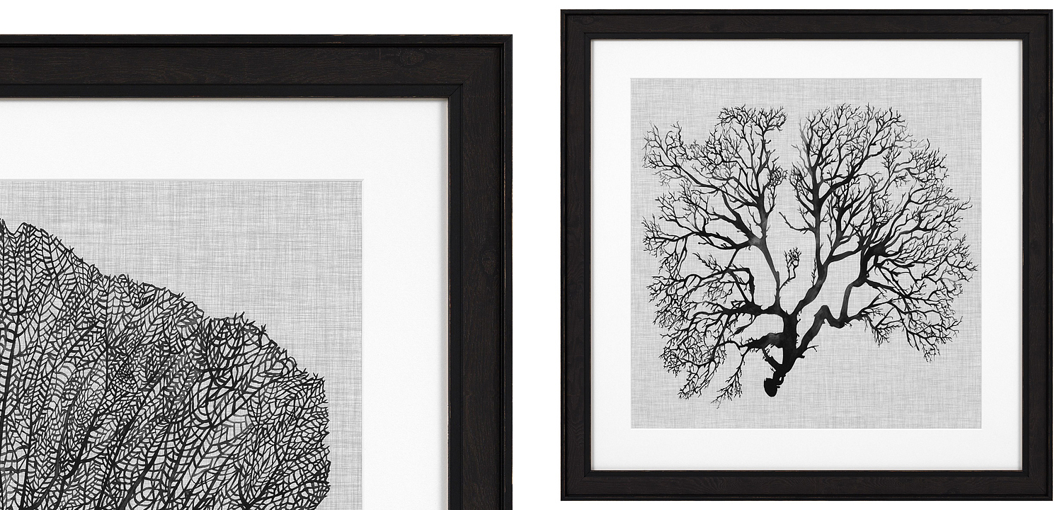 Комплект постеров Eichholtz Prints Shadow Sea Fans set of 4 Комплект постеров Eichholtz Prints Shadow Sea Fans set of 4 - Loft-Concept в Липецке