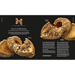 Книга Treasures of India From Antiquity to Modernity варинант исполнения - 3 | Loft Concept в Липецке