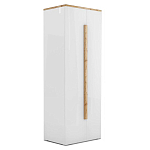 Шкаф платяной с белым глянцевым фасадом Grace of Furniture варинант исполнения - 1 | Loft Concept в Липецке