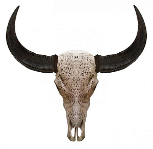 Череп буйвола с резьбой Buffalo Skull Tribal Carving