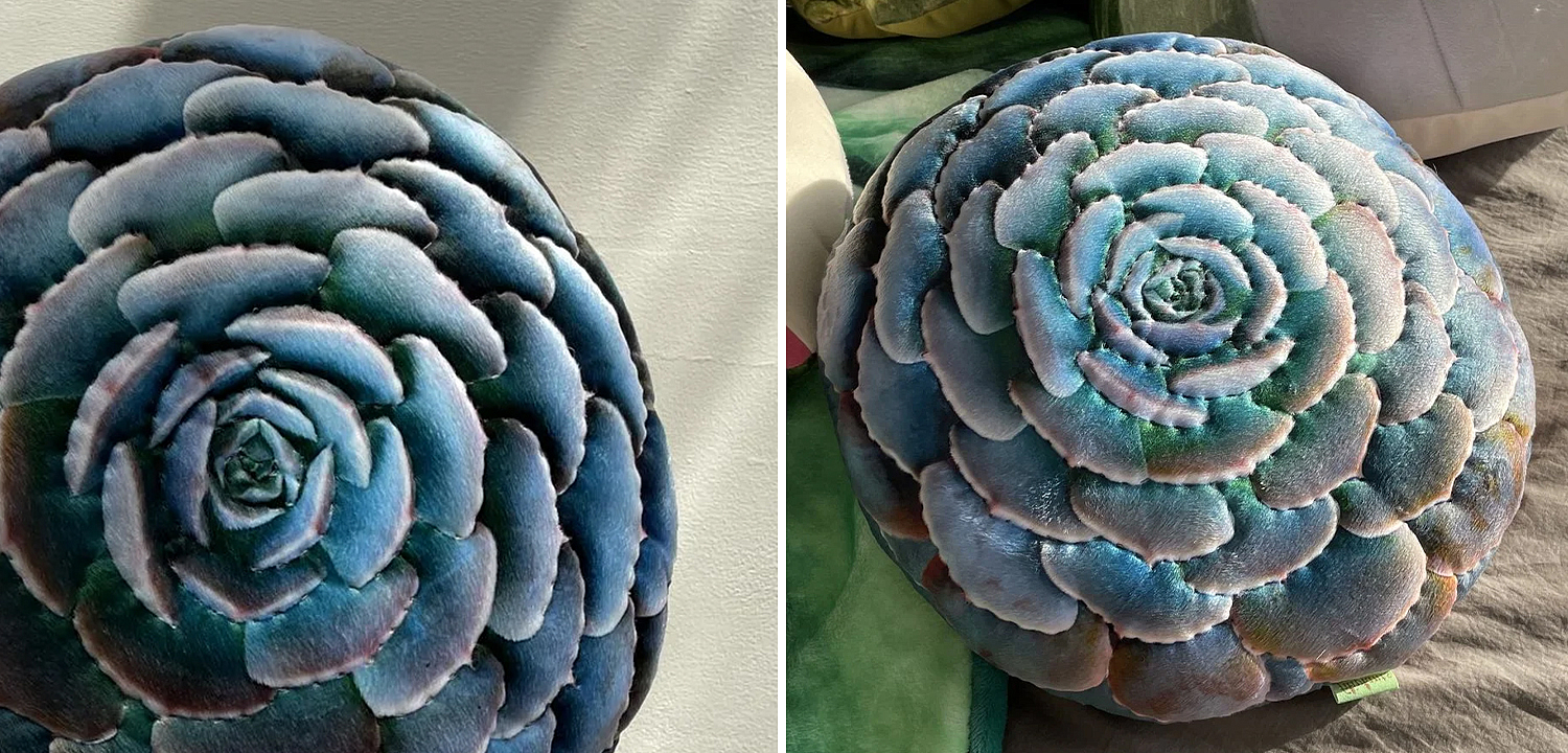 Декоративная подушка Botanical Cushion Succulentus Декоративная подушка Botanical Cushion Succulentus - Loft-Concept в Липецке