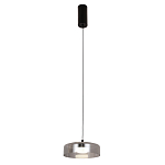 Подвесной светильник Blanton smoky 23 варинант исполнения - 2 | Loft Concept в Липецке