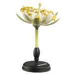 Статуэтка Tilia варинант исполнения - 2 | Loft Concept в Липецке