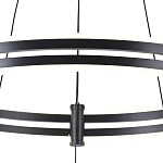 Люстра светодиодная с 2-мя плафонами в форме колец из акрила и алюминия с пультом для регулировки света Ring Horizontal Black варинант исполнения - 3 | Loft Concept в Липецке